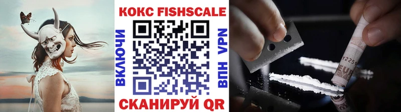 где купить   Сольцы  COCAIN FishScale 